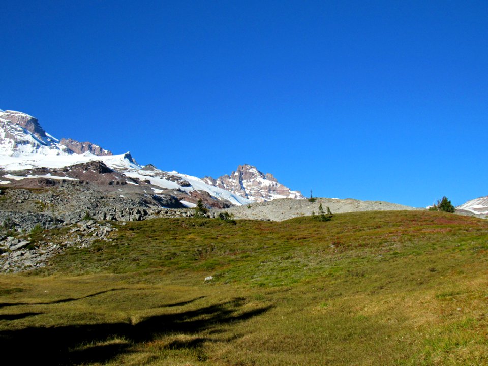 Autumn at Skyline Trail at Mt. Rainier NP in WA