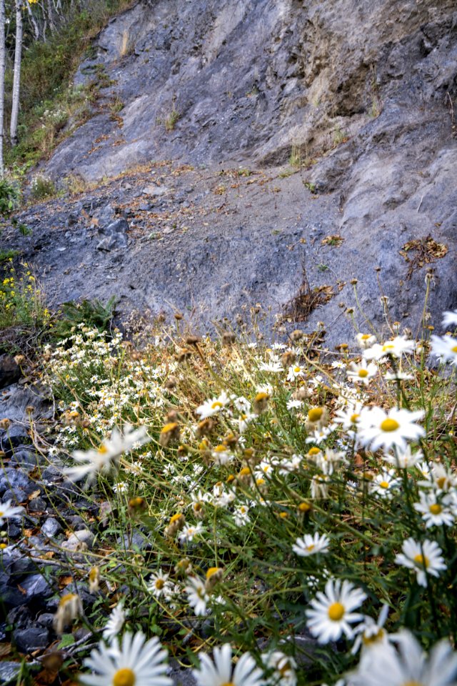 Telegraph Creek, The King Range National Conservation Area