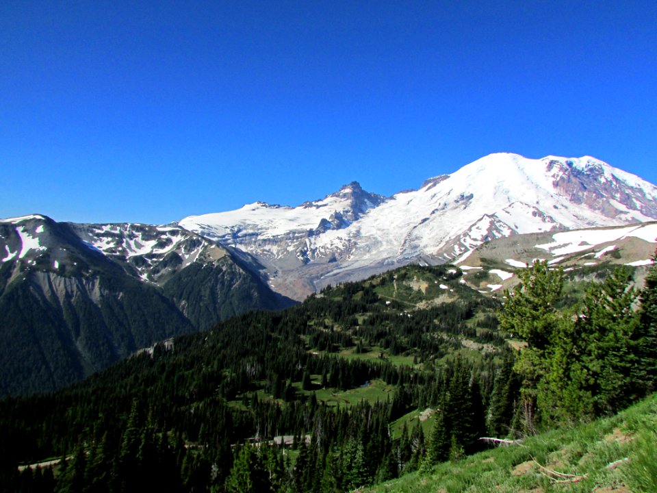 Mt. Rainier NP in WA