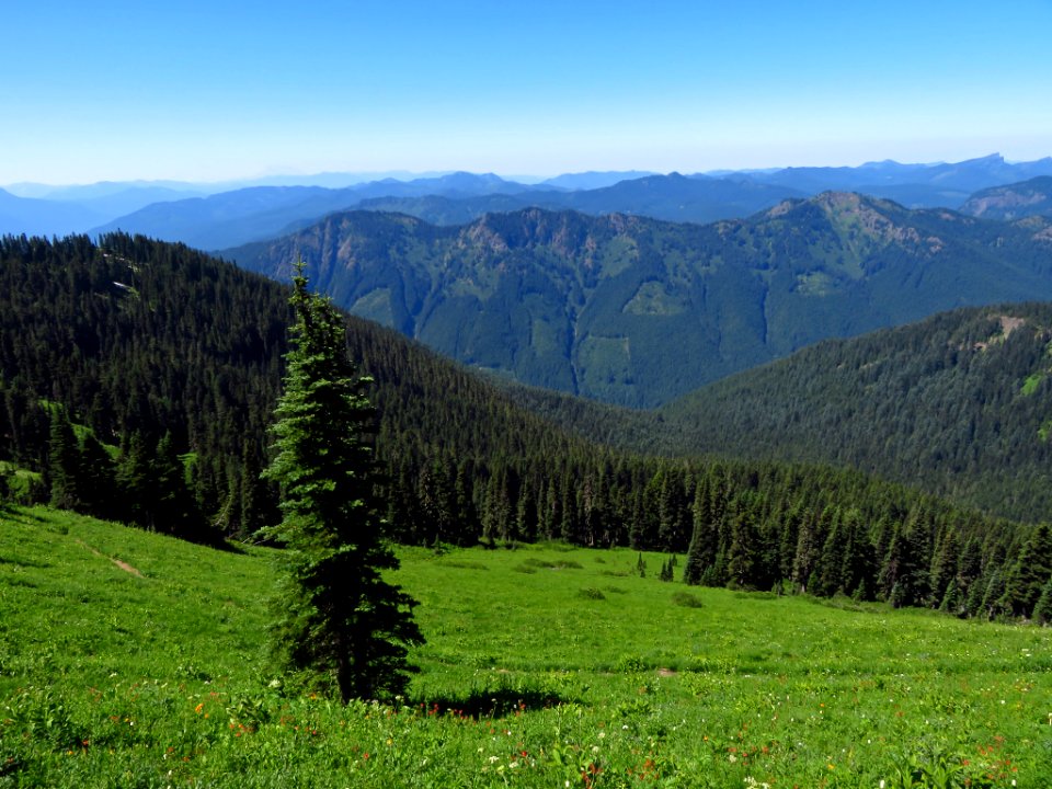 Tatoosh Peak Trail in WA