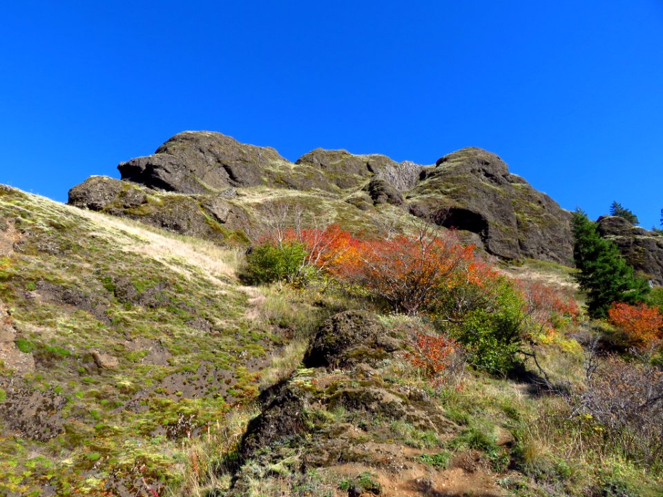 Saddle Mountain Trail in OR