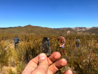 WINNER: Cache Creek, Sonoma State Univ Internship, Ukiah Field Office