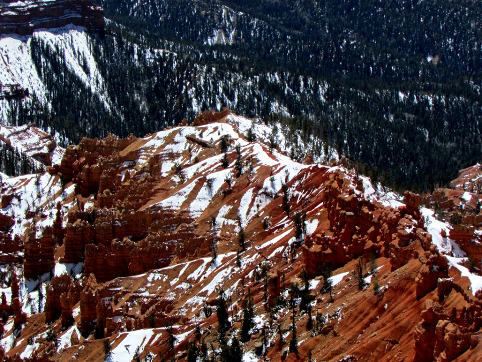 Cedar Breaks NM at Dixie NF in UT
