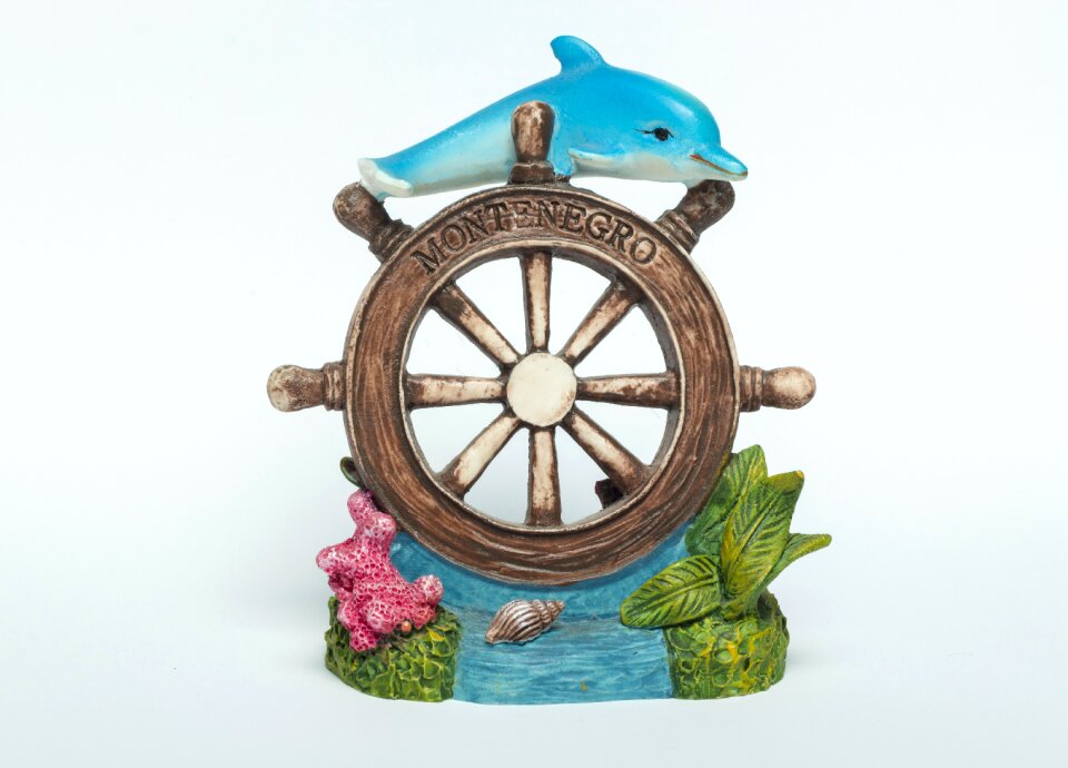 Nature aquatic fish