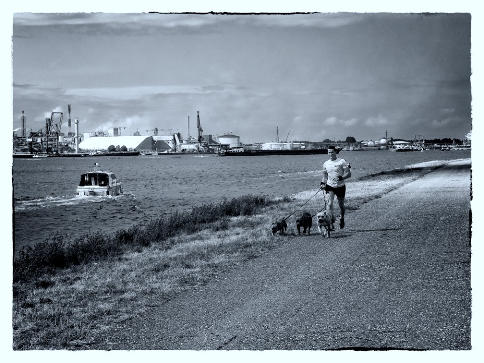 Jogging
