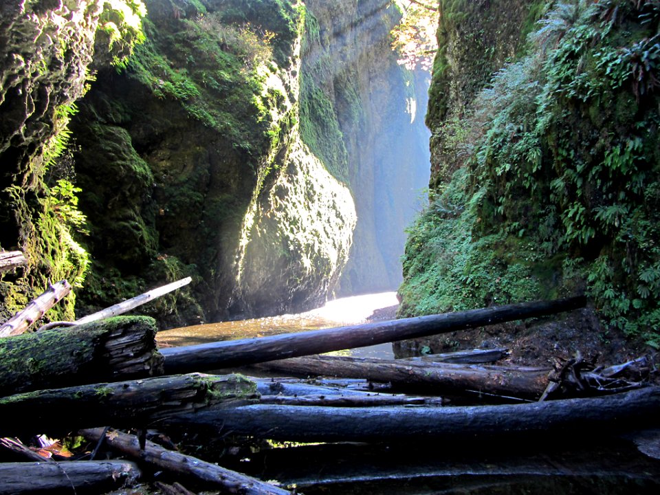 Oneonta Gorge at Columbia River Gorge in OR
