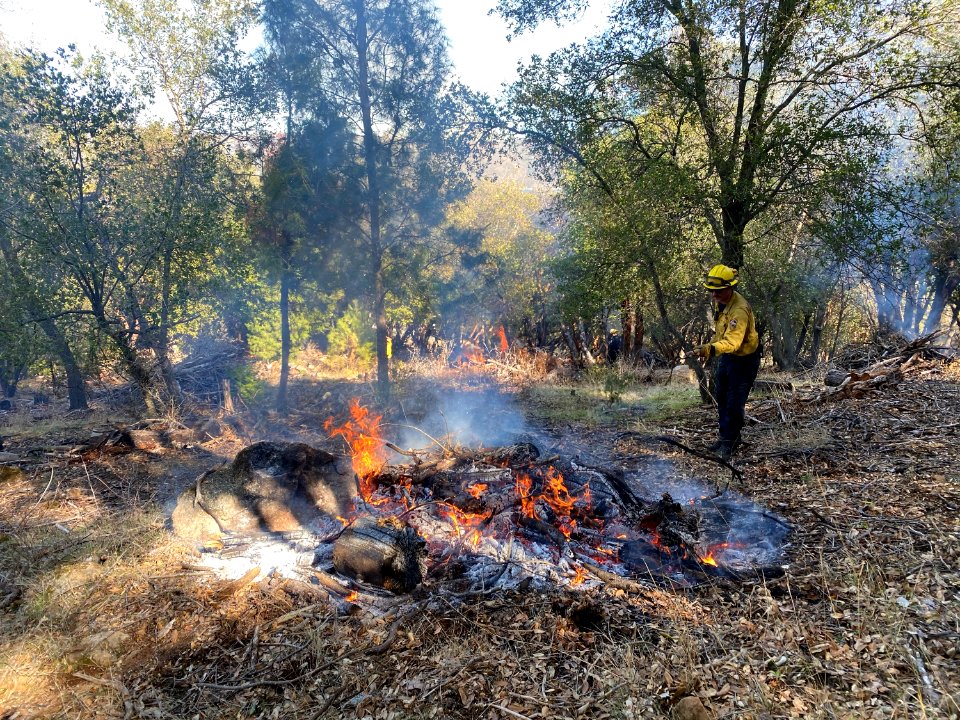 CalFire crews assist on a Black Forest pile burn