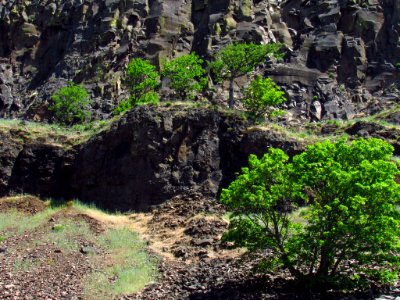 Labyrinth-Coyote Wall Trail in WA