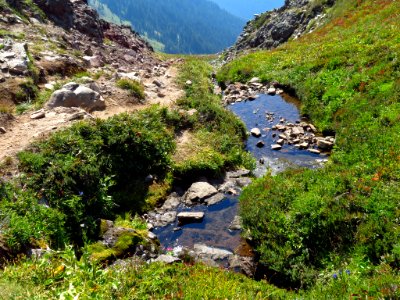 Goat Rocks Wilderness in WA