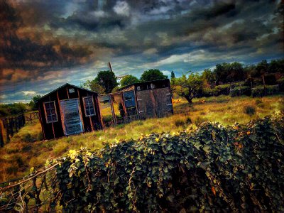 Shed photo