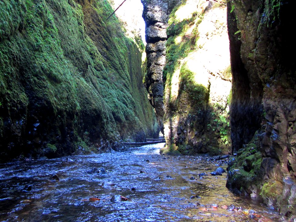 Oneonta Gorge at Columbia River Gorge in OR