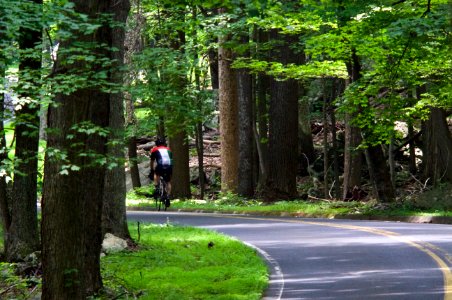 Cyclist