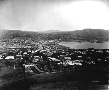 18; Wellington from lower slopes of Mount Victoria - 1884 - Glass Plate Negative