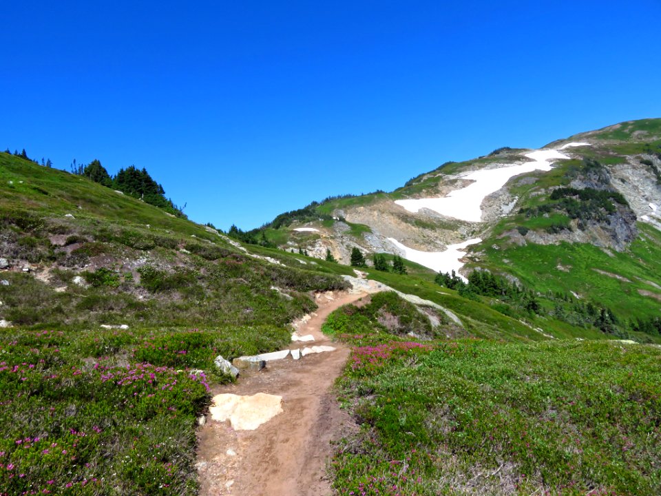 Cascade Pass at North Cascades NP in WA