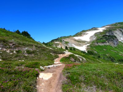 Cascade Pass at North Cascades NP in WA photo