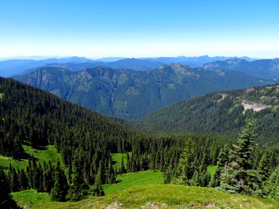 Tatoosh Peak Trail in WA