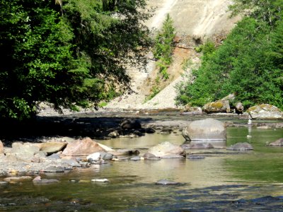 Lower Lewis River Falls in WA