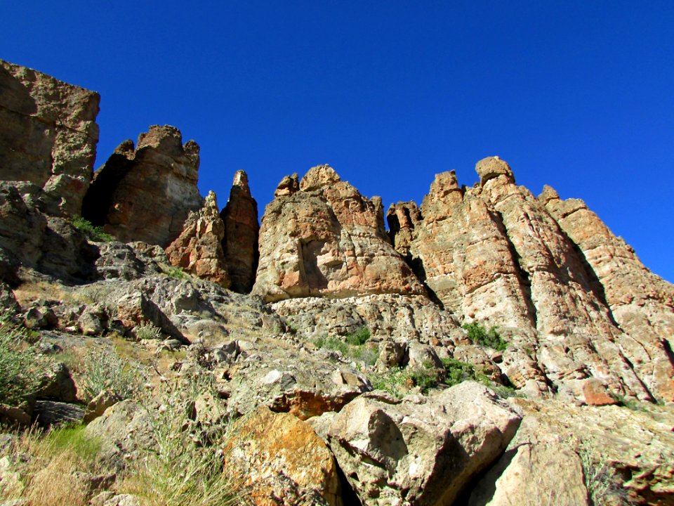 Clarno Unit at John Day Fossil Beds NM in OR