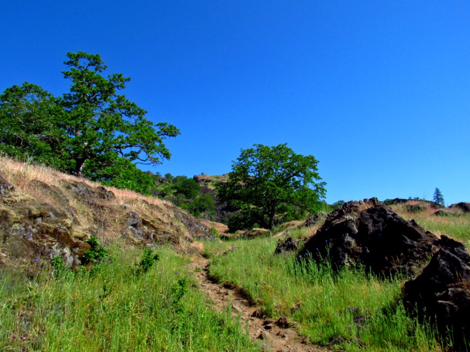 Labyrinth-Coyote Wall Trail in WA