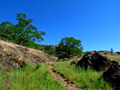 Labyrinth-Coyote Wall Trail in WA