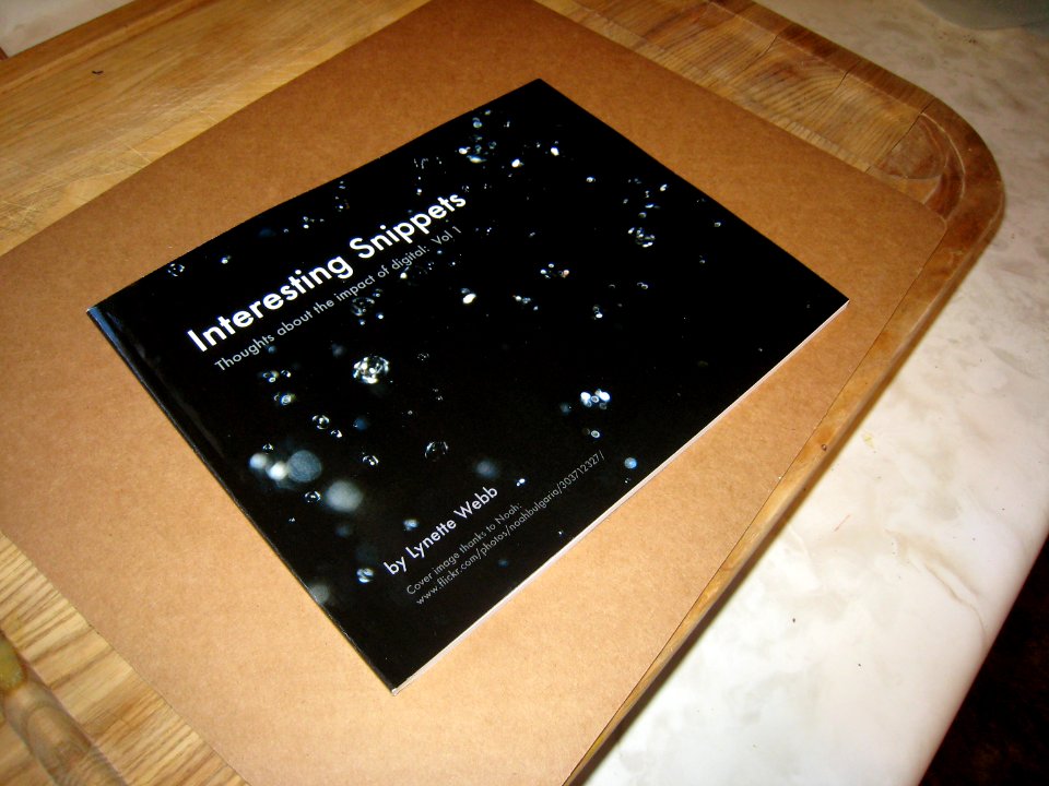 Interesting Snippets, The Book
