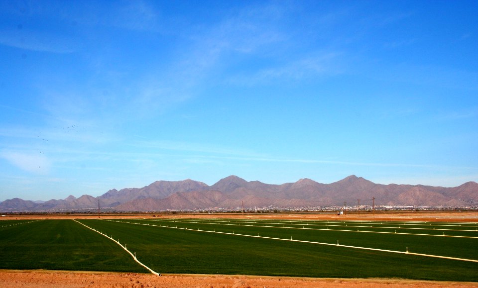 McDowell Sky