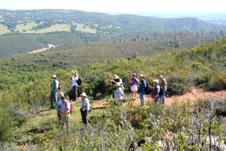 Pine Hill Preserve photo