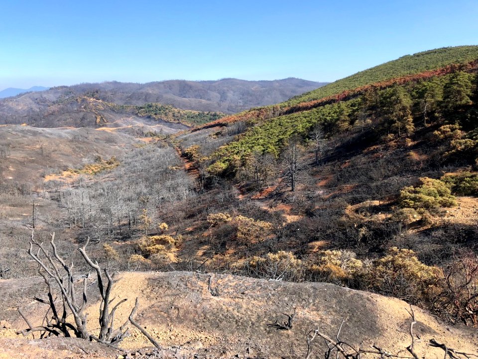 South Cow Mountain OHV Management Area fire recovery
