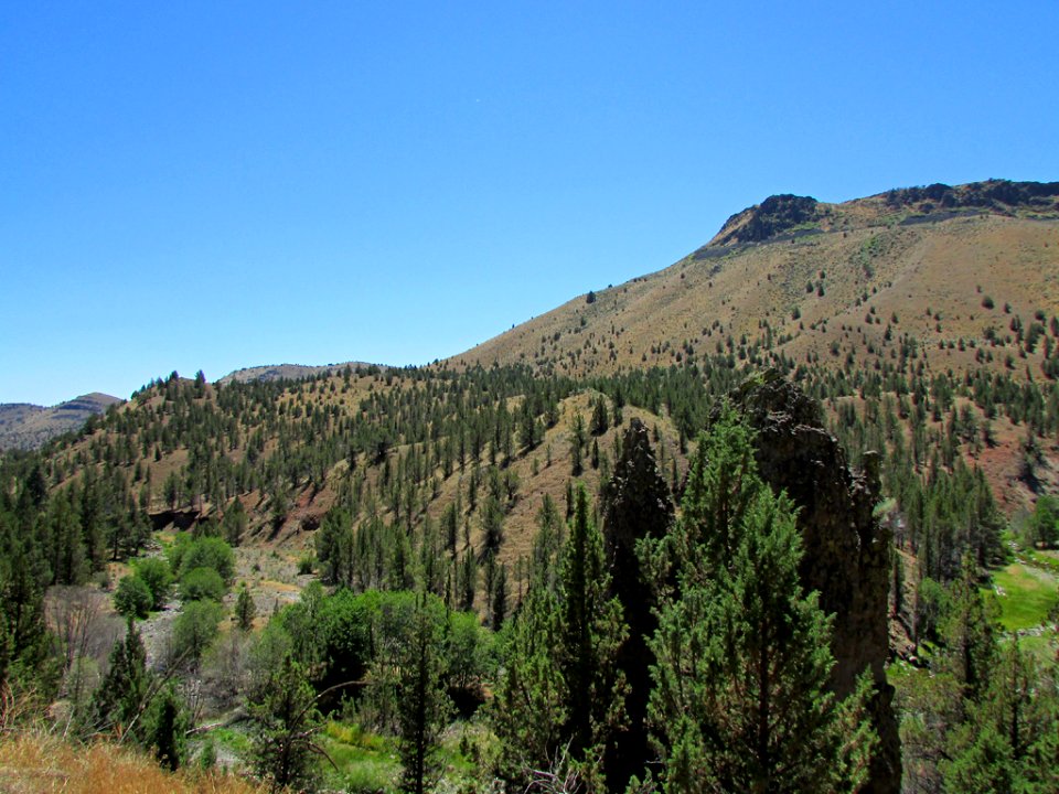 Landscape in Central OR