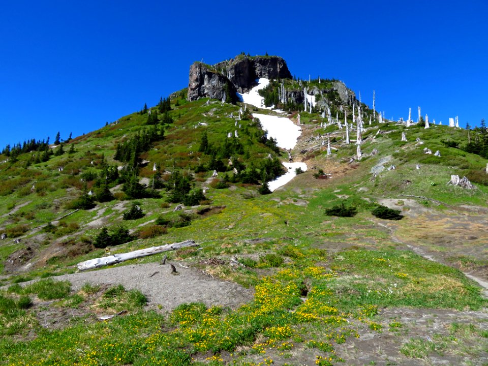 Coldwater Peak at Mt. Margaret Backcountry in WA