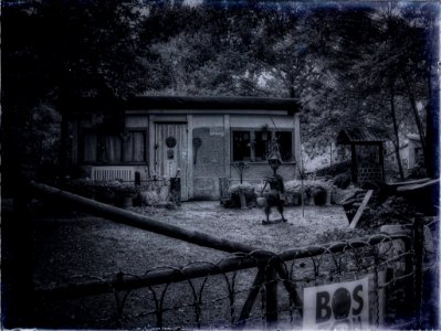 Tom's Cabin