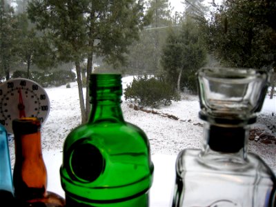 Bottle This Day