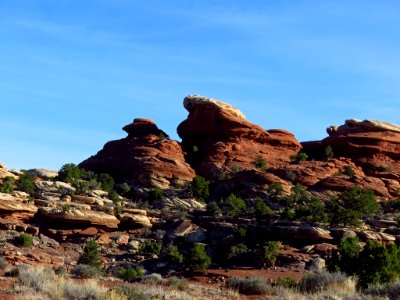 Needles District at Canyonlands NP in Utah photo