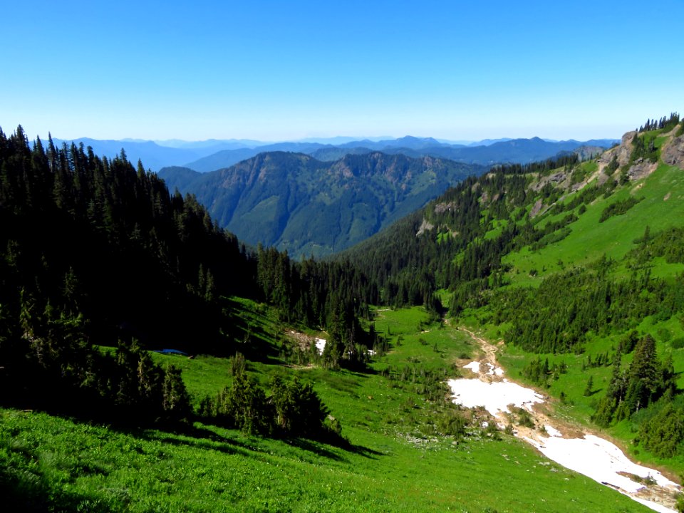 Tatoosh Peak Trail in WA