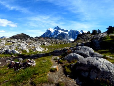 Mount Shuksan in WA photo