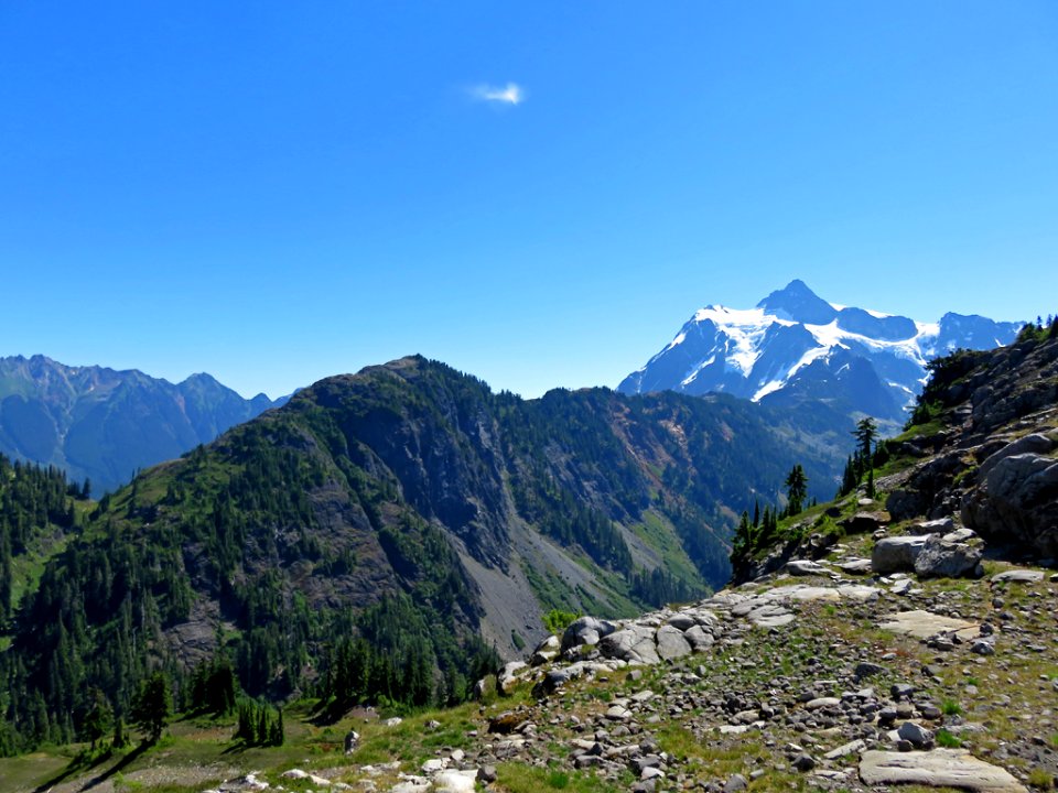 Mt. Shuksan at Mt. Baker-Snoqualmie NF in Washington photo