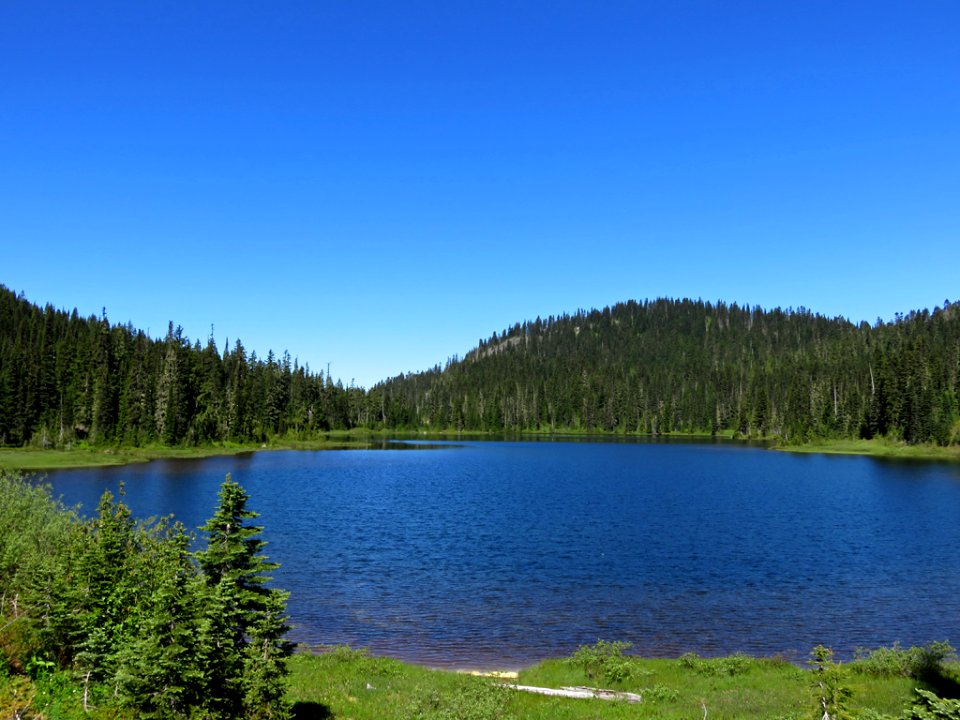 Mt. Rainier NP in WA