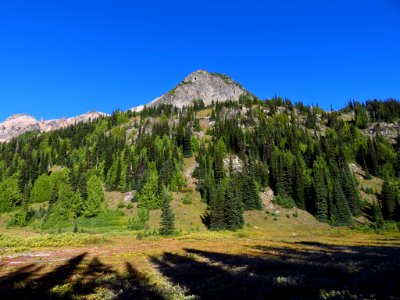 Glacier Basin Trail at Mt. Rainier NP in WA
