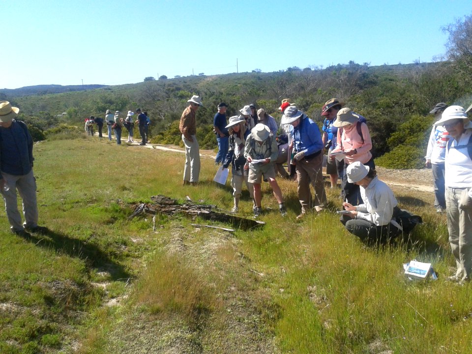 BLM California wildflower hike