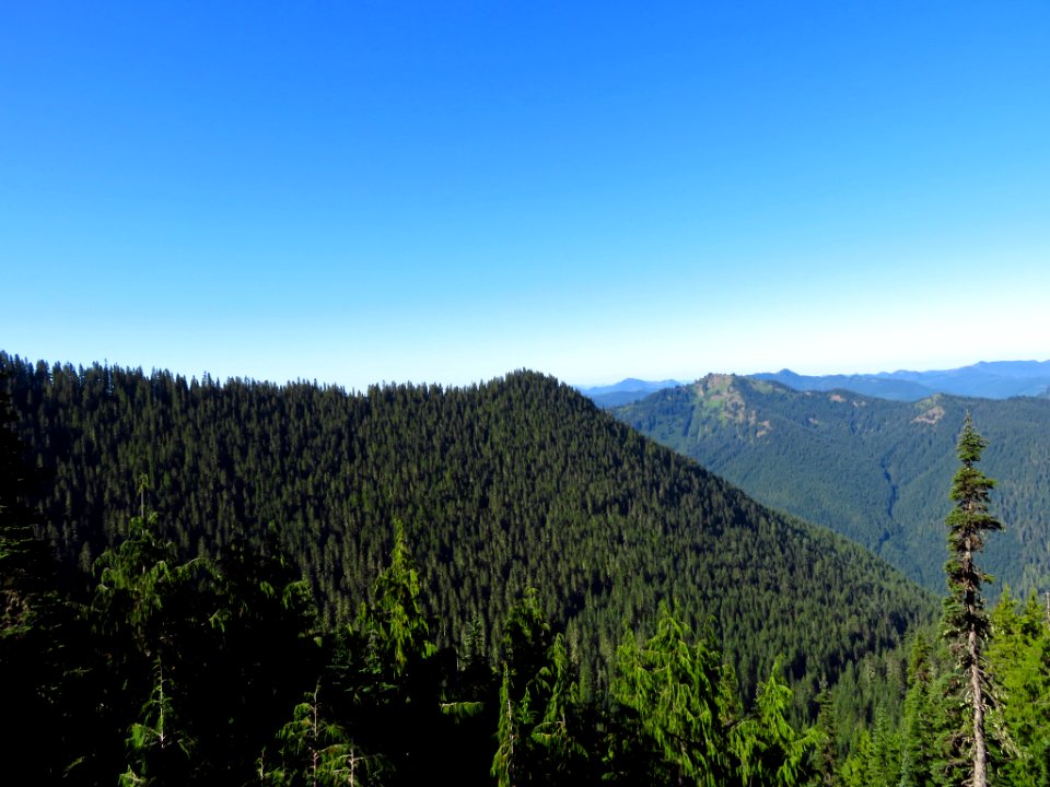 Tatoosh Peak Trail in WA