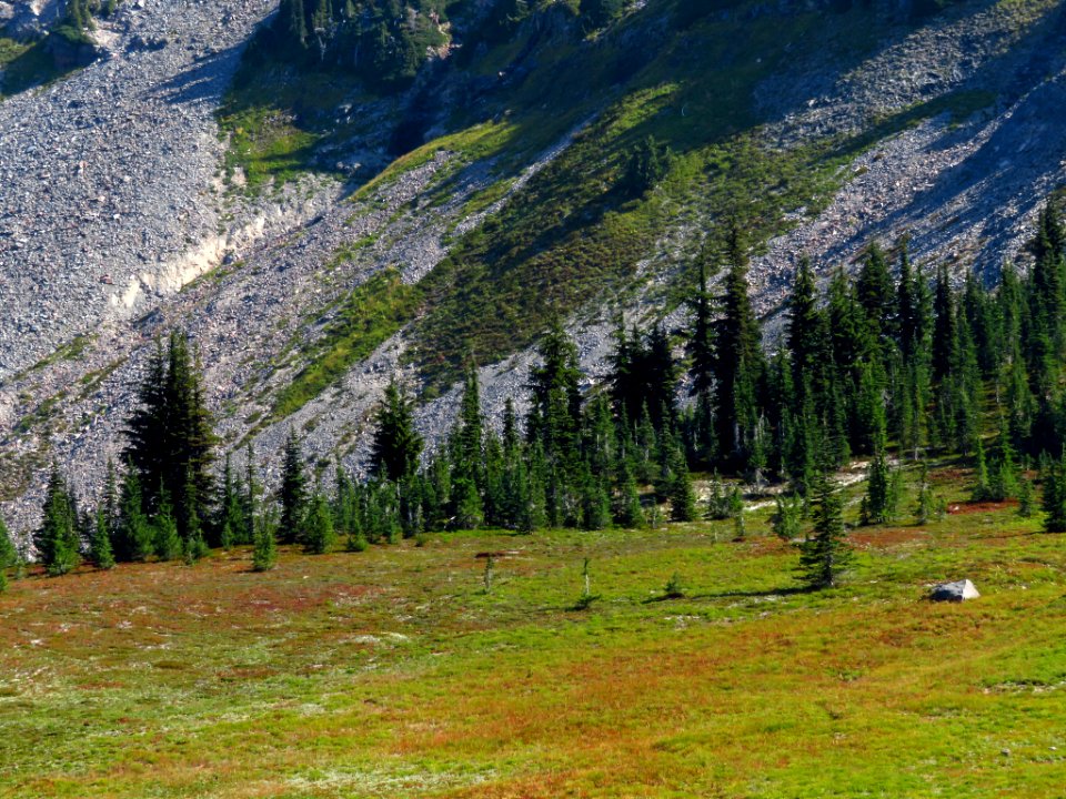 Goat Rocks Wilderness in WA