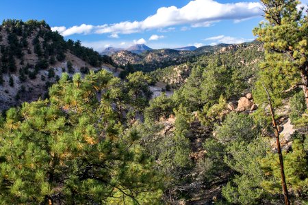 Browns Canyon National Monument