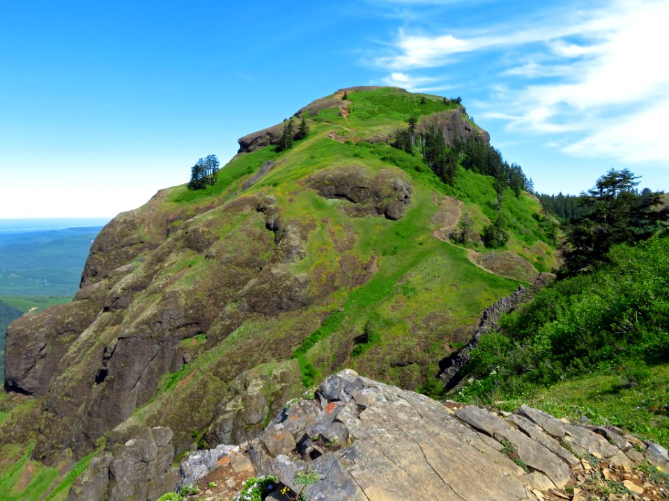 Saddle Mountain Trail in OR