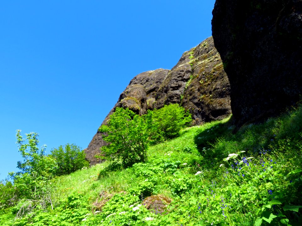 Saddle Mountain Trail in OR