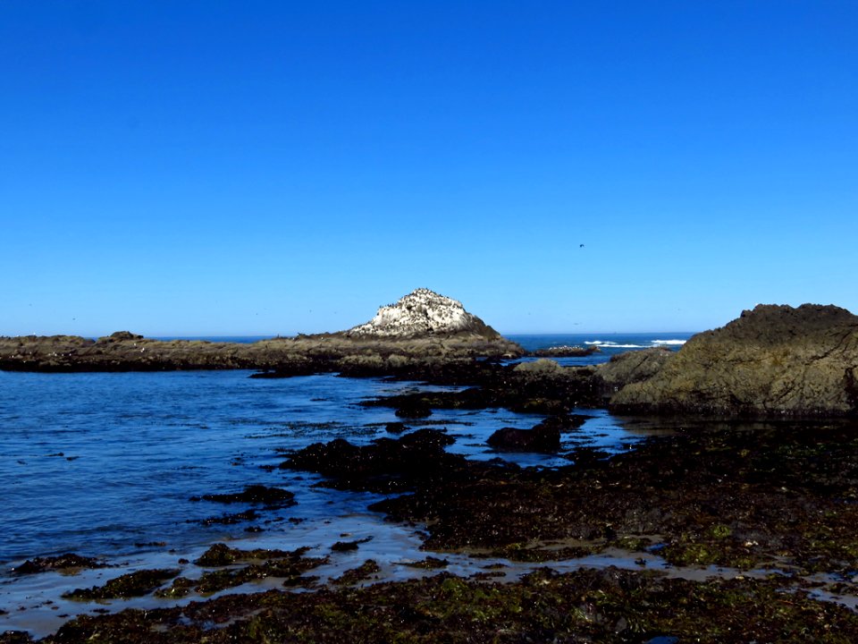 Yaquina Head Natural Area at Oregon Coast