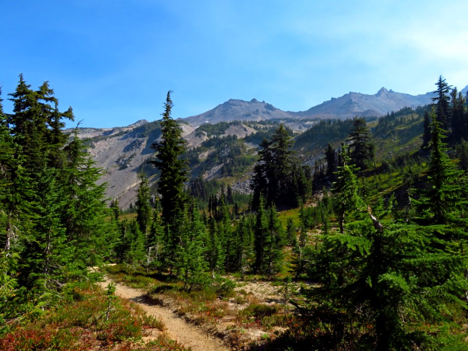 Goat Rocks Wilderness in WA