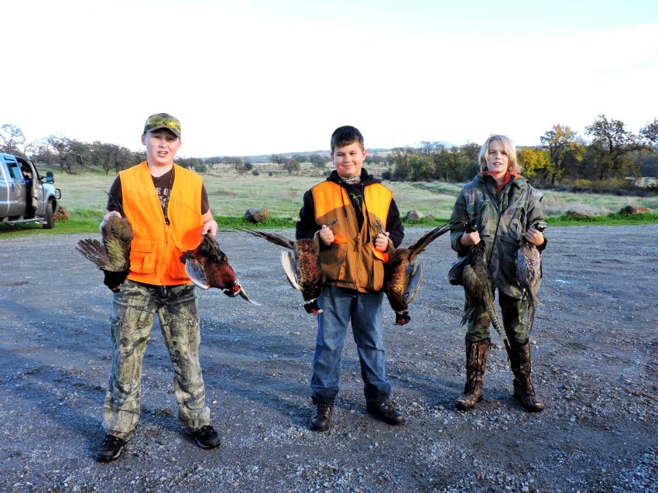 A Hunting Tradition, the Sacramento River Bend Annual Pheasant Hunt