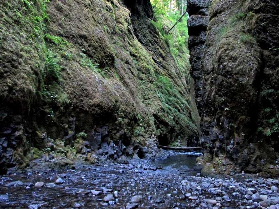 Oneonta Gorge at Columbia River Gorge in OR