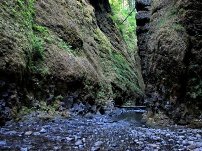 Oneonta Gorge at Columbia River Gorge in OR
