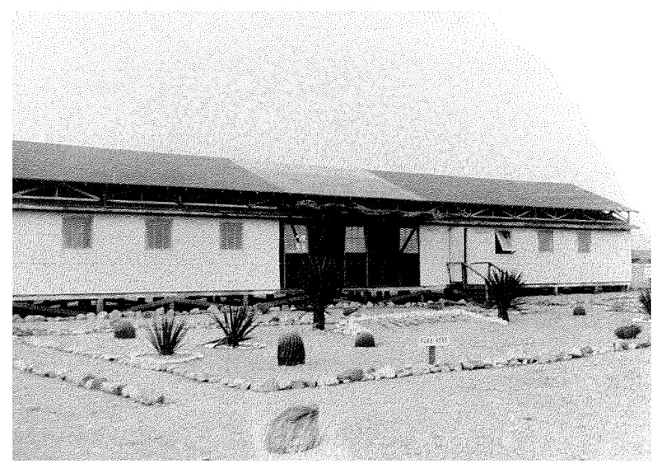Camp Iron Mountain